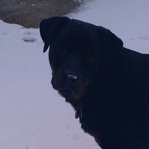 Meet your Posher, Nikki